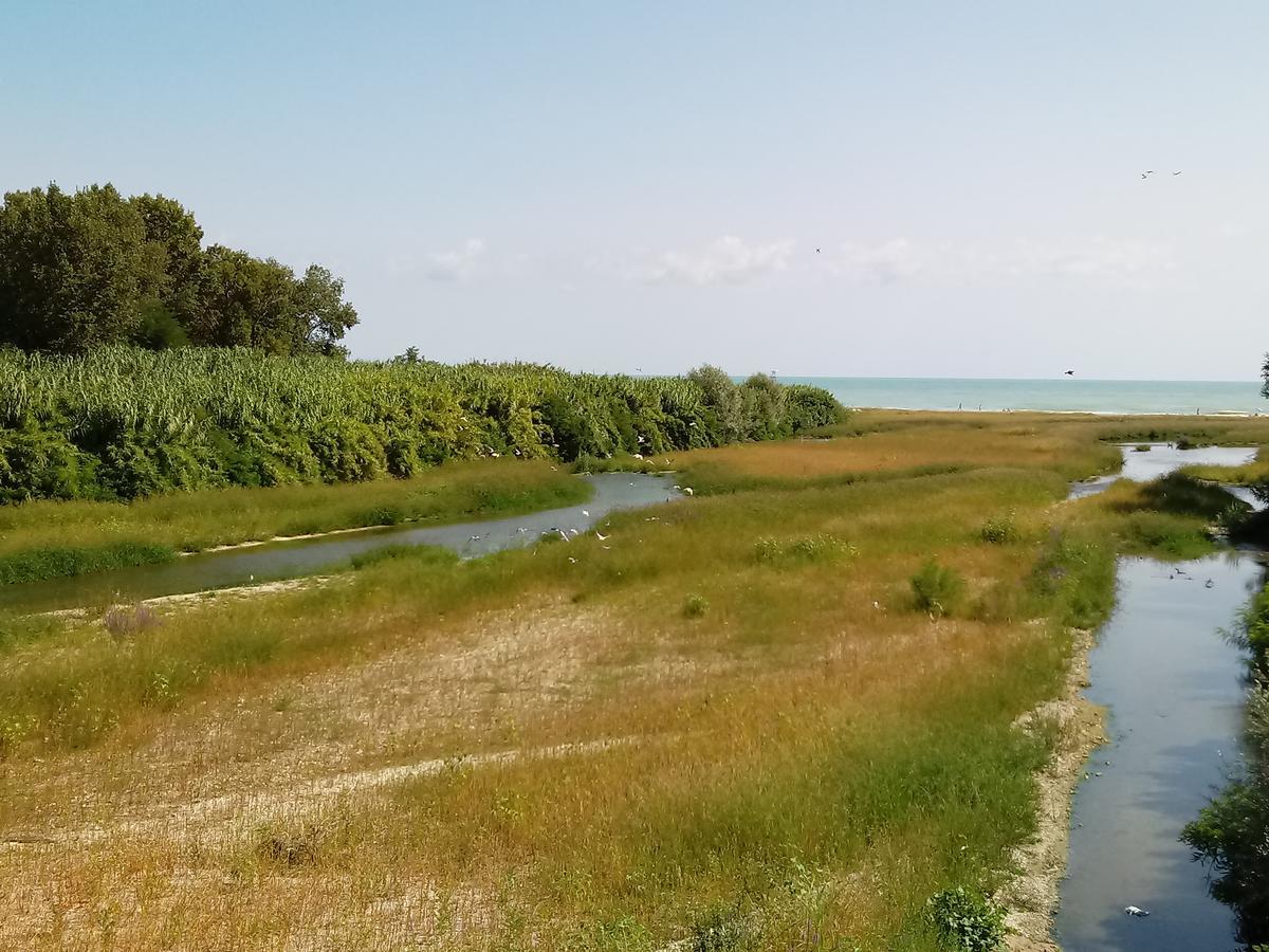 דירות SantʼElpidio a Mare Residenza Corso Baccio מראה חיצוני תמונה